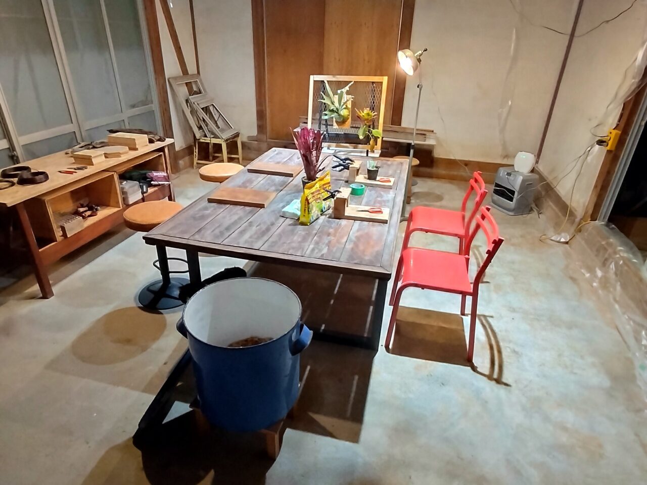 「PavoneGiardino」ビカクシダ板付けワークショップ