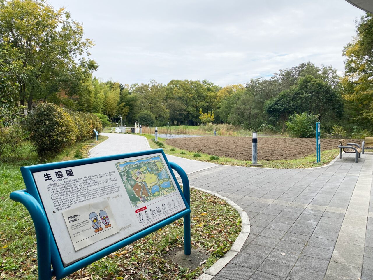 埼玉県環境科学国際センター「生態園」