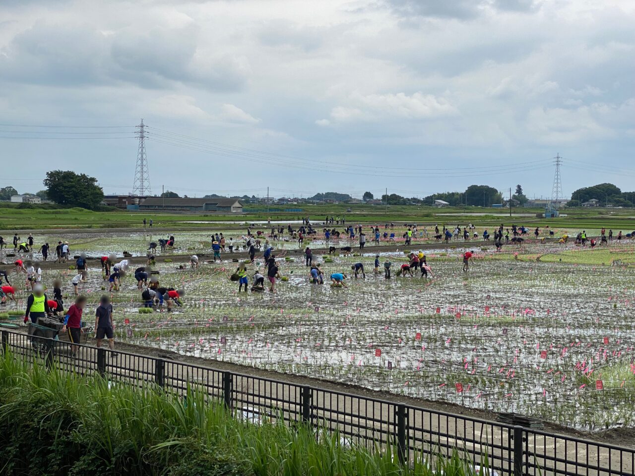 昨年の田んぼアート田植え風景