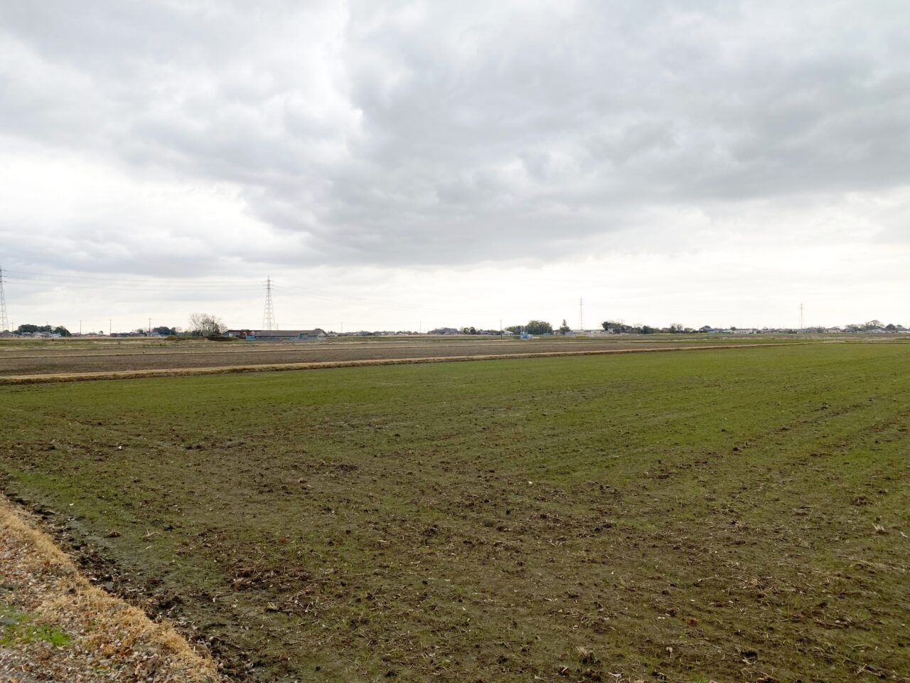 田んぼアート会場