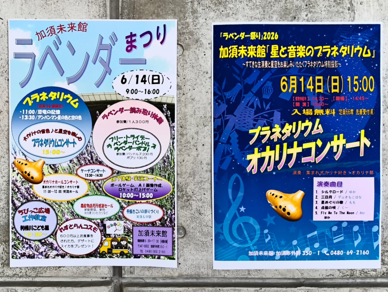 ラベンダーまつりポスター