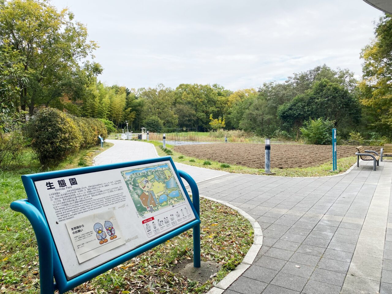 環境科学国際センター生態園