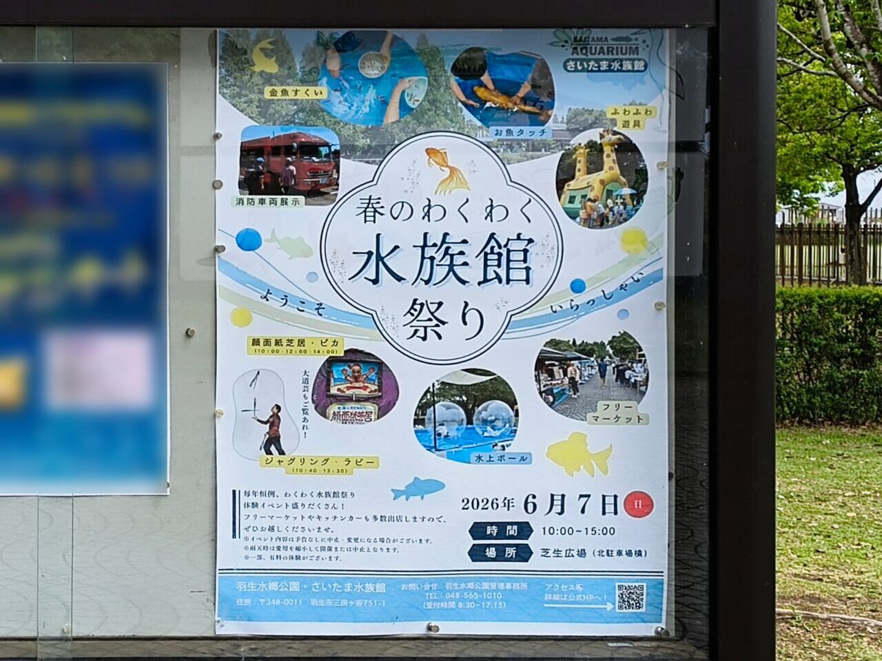 春のわくわく水族館まつり