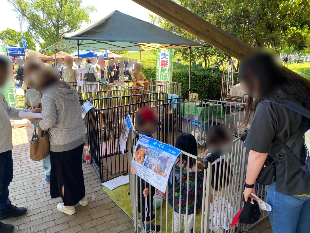 2025年春のわんにゃんフェスタ会場風景