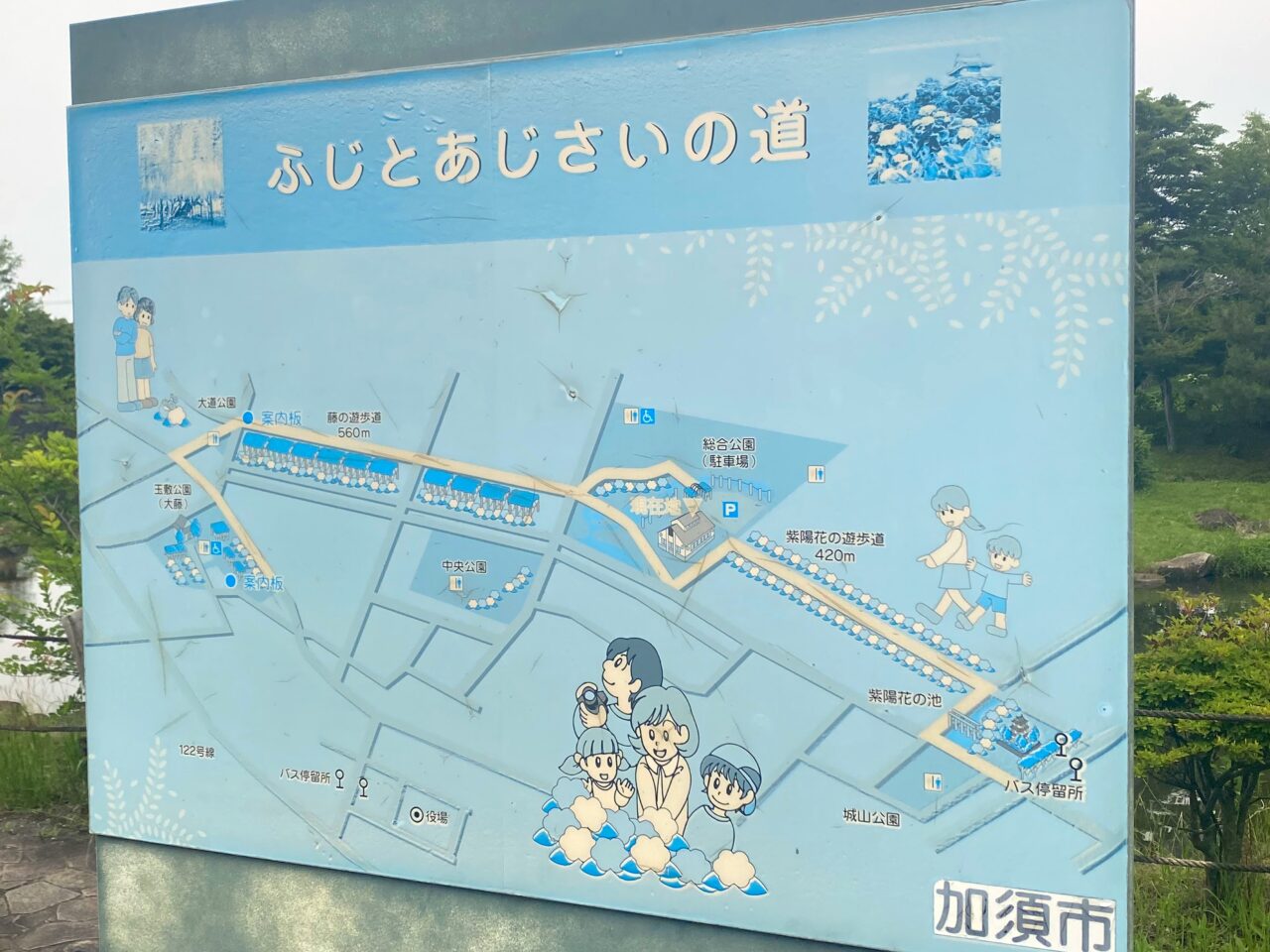 ふじとあじさいの道