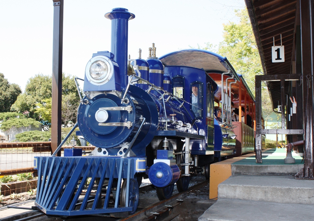 むさしの村園内を走るSL