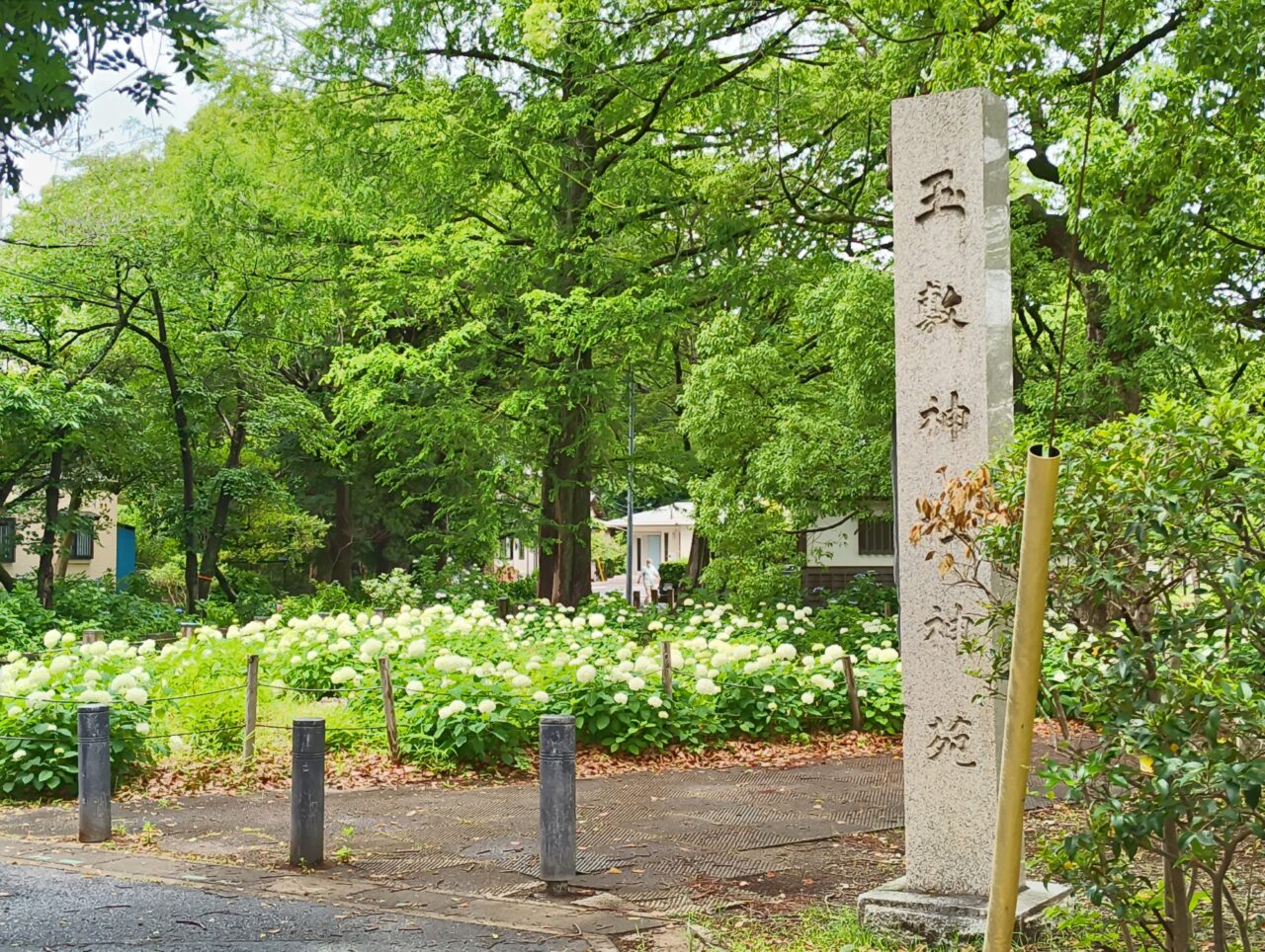 玉敷公園