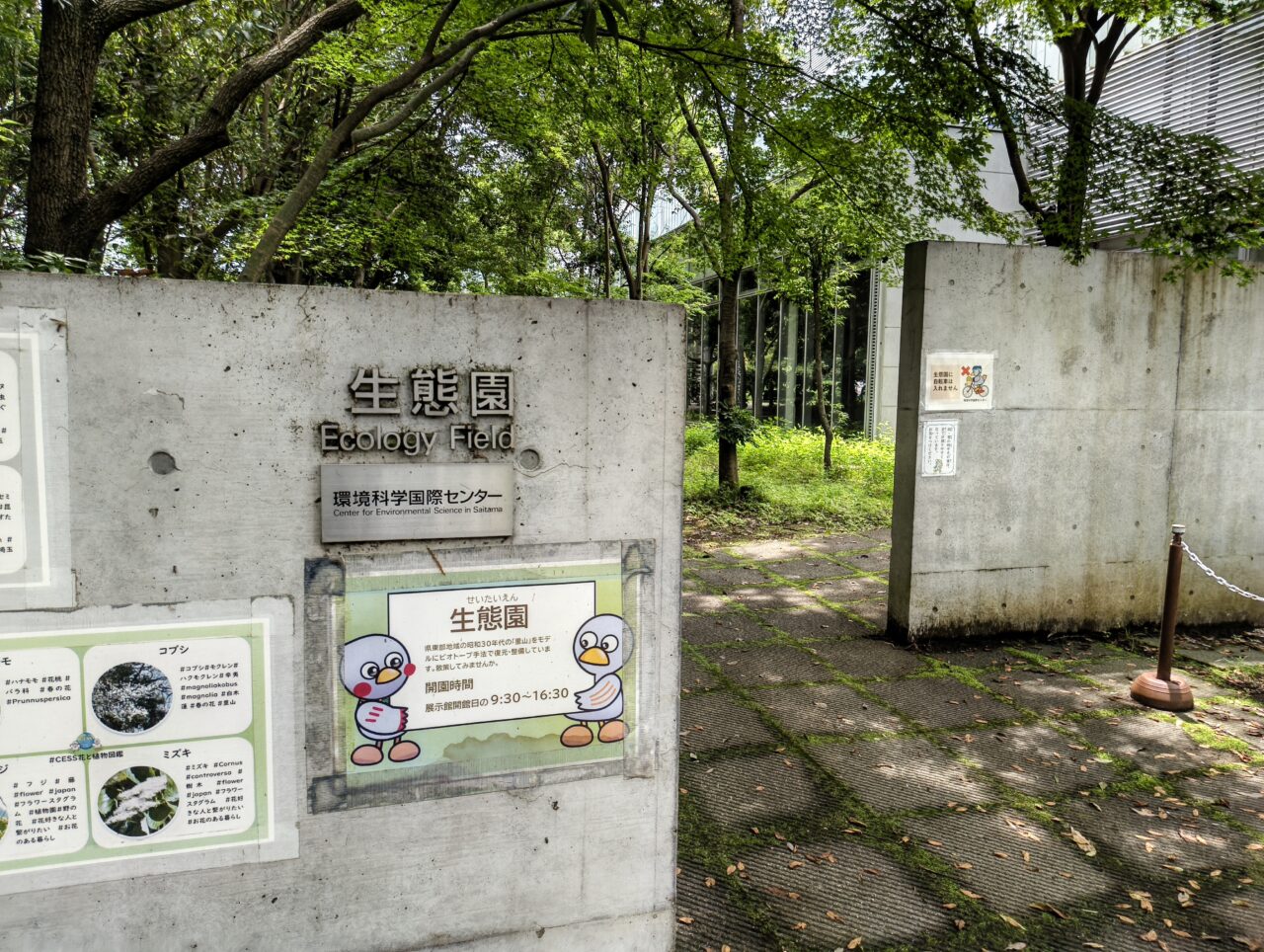 埼玉県環境科学国際センター生態園