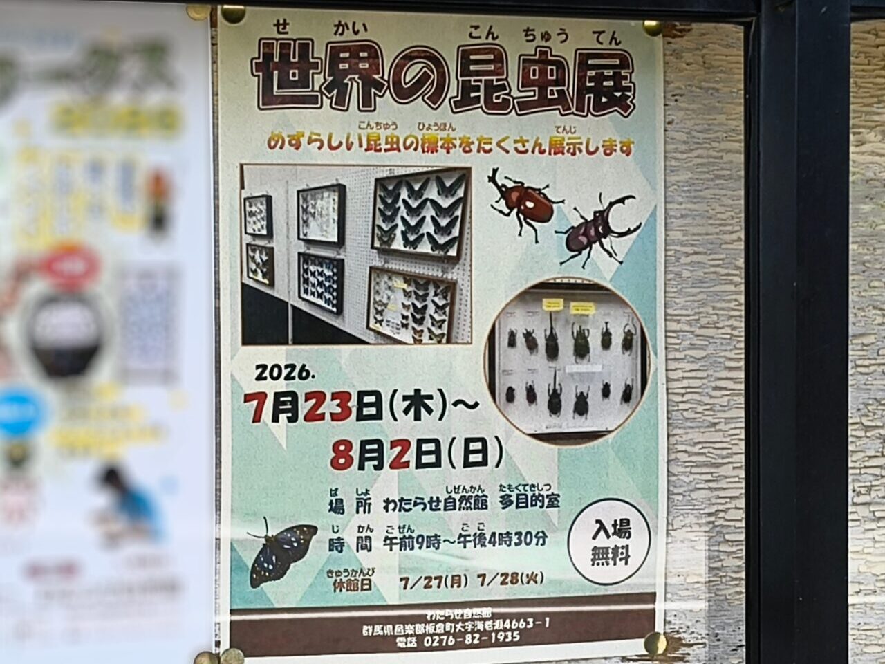 世界の昆虫展