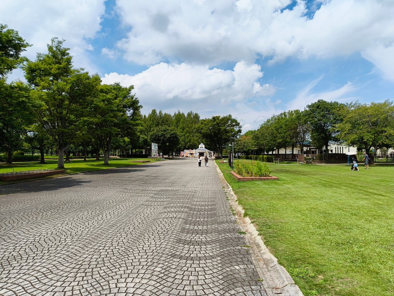 羽生水郷公園