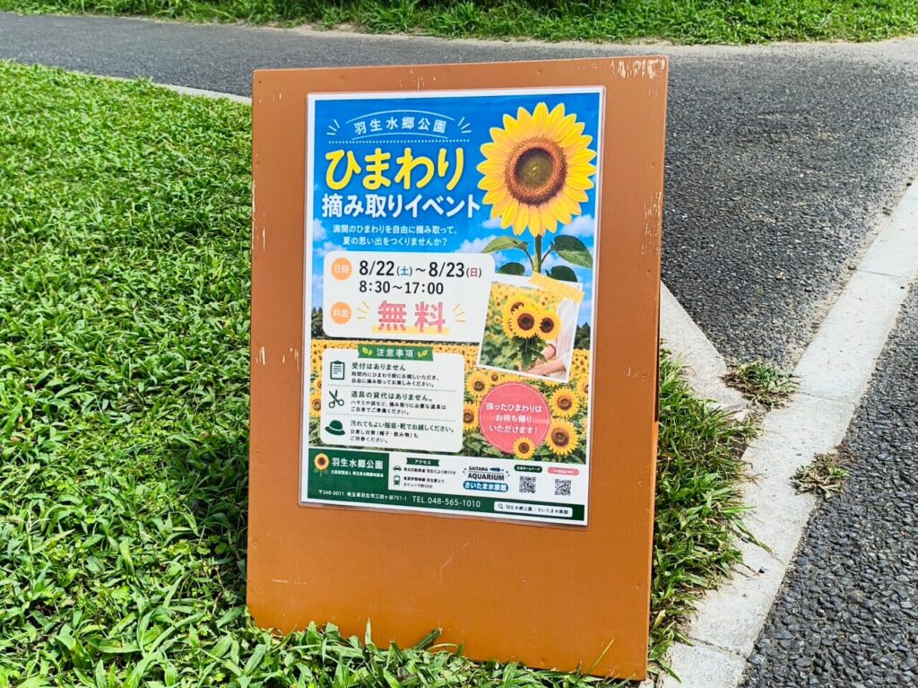 ひまわり摘み取りイベント