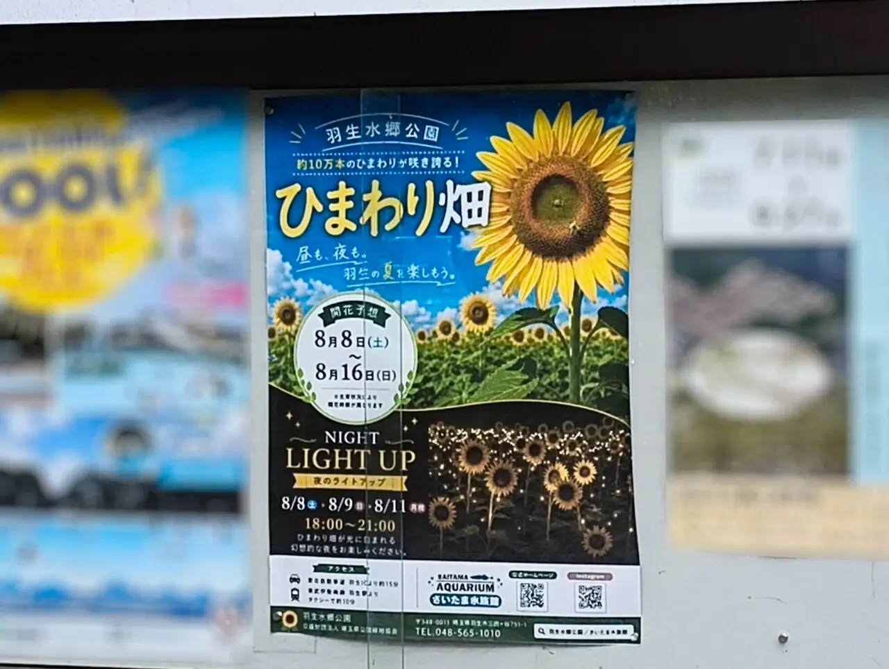 羽生水郷公園ひまわり畑ポスター